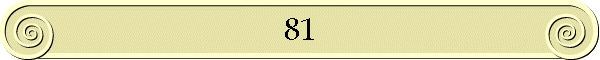 81